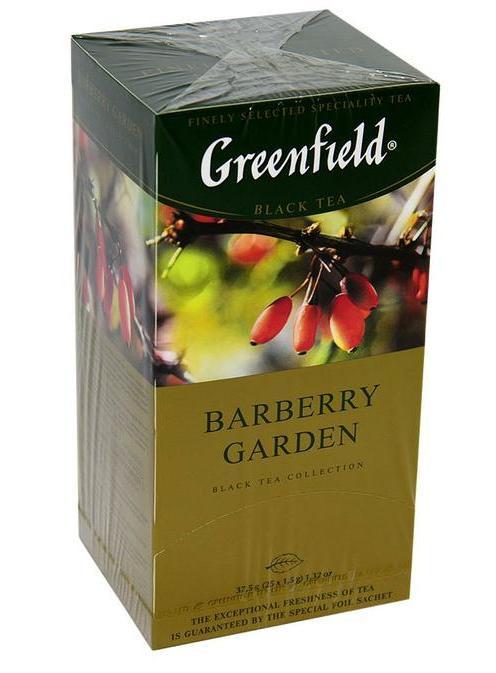 TEA GREENFIELD BLACK BARBERRY 25X1.5G