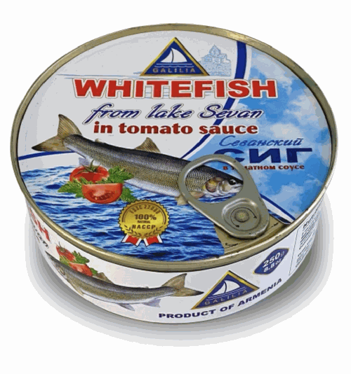 WHITEFISH GALILIA IN TOMATO 250G